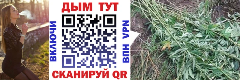 Каннабис план  Палласовка 